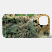 Vage jachtluipaardwelp Case-Mate iPhone case (Achterkant (horizontaal))