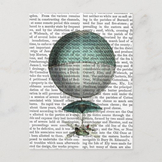 Vaisseau Volant Hot Air-ballon Briefkaart (Voorkant)