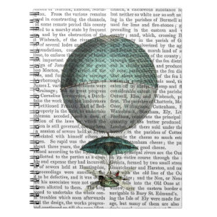 Vaisseau Volant Hot Air-ballon Notitieboek