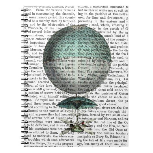 Vaisseau Volant Hot Air-ballon Notitieboek (Voorkant)