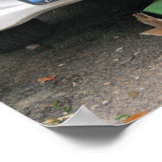 Vak Kat 1 Poster (Hoek)