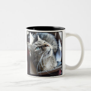 Vak Kat Tweekleurige Koffiemok