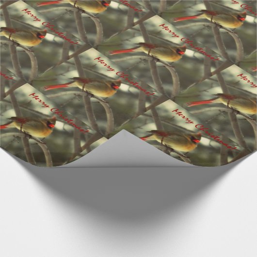 Vakanaal Cadeaupapier (Hoek)