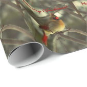 Vakanaal Cadeaupapier (Rol Hoek)