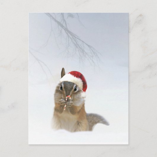 Vakaneskerstak in de sneeuw briefkaart (Voorkant)