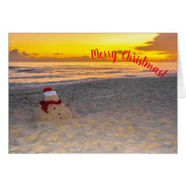 Vakantiandman op het strand