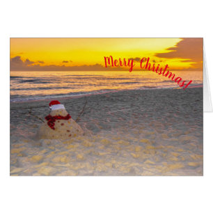 Vakantiandman op het strand