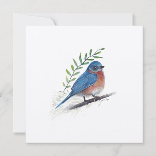 Vakantie Bluebird Art Bird Kaart (Voorkant)
