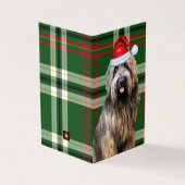 Vakantie Briard Shepherd Dog Green Plaid Kerstmis Kaart (Buitenkant)