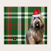 Vakantie Briard Shepherd Dog Green Plaid Kerstmis Kaart (Buitenkant ongevouwen)