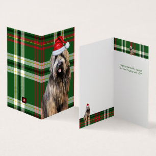 Vakantie Briard Shepherd Dog Green Plaid Kerstmis Kaart