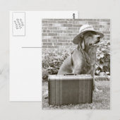 Vakantie Briefkaart (Voorkant / Achterkant)