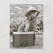 Vakantie Briefkaart (Voorkant)