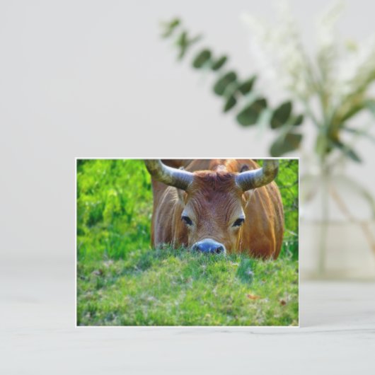 vakantie briefkaart (Staand voorkant)