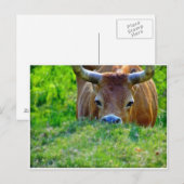 vakantie briefkaart (Voorkant / Achterkant)