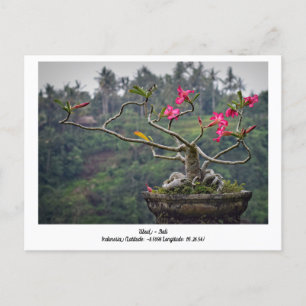 Vakantie Briefkaart Ubud, Bali Indonesië