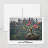 Vakantie Briefkaart Ubud, Bali Indonesië (Voorkant / Achterkant)