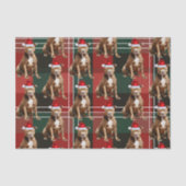 Vakantie Bruine Pitbull Hond Rood Geplaagd Kerstmi Tissuepapier (Voorkant)