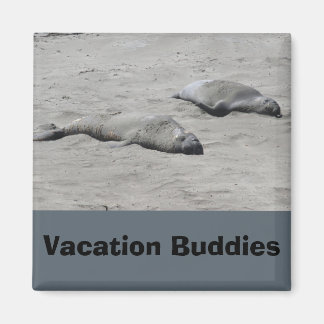 Vakantie Buddies Magnet