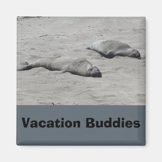Vakantie Buddies Magnet (Voorkant)