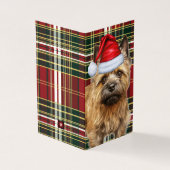 Vakantie Cairn Terrier Hond Red Plaid Kerstmis Kaart (Buitenkant)