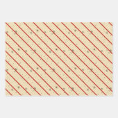  vakantie Cheer in Green Inpakpapier Vel (Voorkant 2)