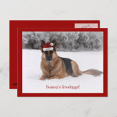 Vakantie Duitse herder Feestdagenkaart (Voorkant / Achterkant)