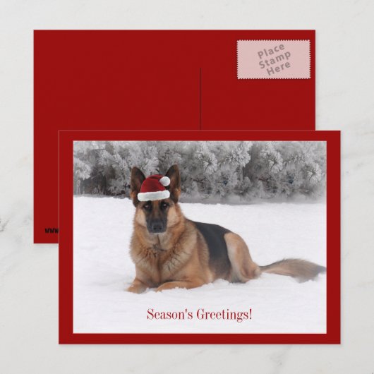 Vakantie Duitse herder Feestdagenkaart (Voorkant / Achterkant)