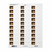 Vakantie "Grace Sheltie Etiket (Full Sheet)