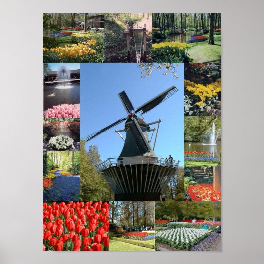 Vakantie in Nederland Poster (Voorkant)