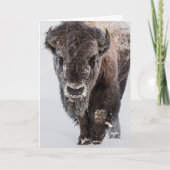 Vakantie Kaart "Deep Freeze" (Voorkant)