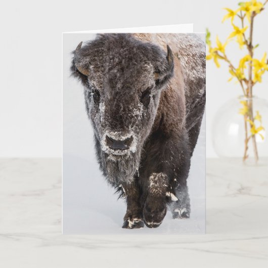 Vakantie Kaart "Deep Freeze" (Gele Bloem)