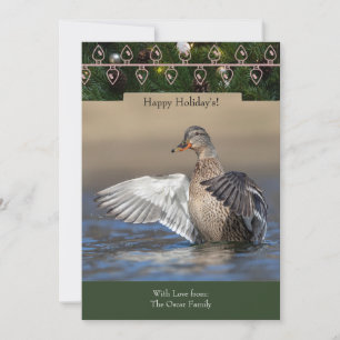 Vakantie Kaart met een Mallard Duck