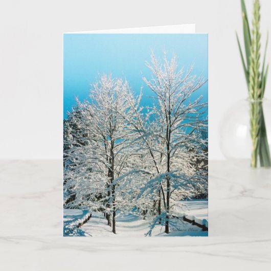 *** Vakantie Kaart: Natuur vol goddelijkheid. Feestdagen Kaart (Voorkant)