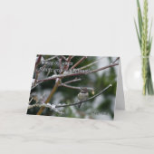 Vakantie Kaart - Solstice Hummers (Voorkant)