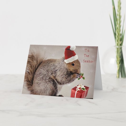 Vakantie kaarten voor Natuur liefhebbers (Voorkant)