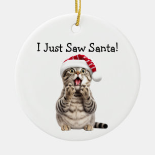 Vakantie Kat Antics Kat Ornament