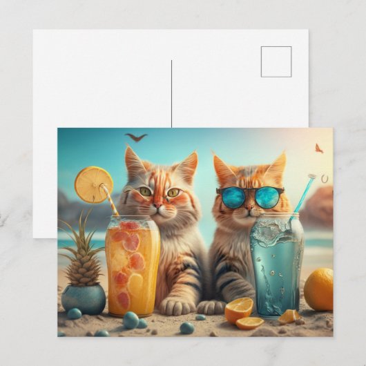 Vakantie Katten Briefkaart (Voorkant / Achterkant)