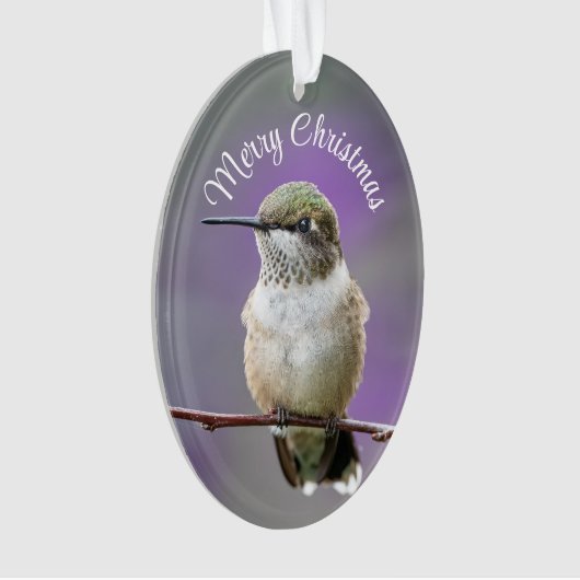 Vakantie kolibrie Acryl Ornament (voorkant)