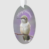 Vakantie kolibrie Acryl Ornament (voorkant)
