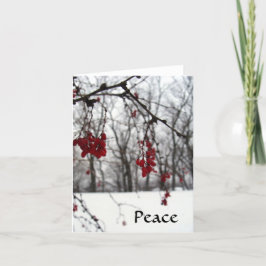 Vakantie Nota Kaart Peace