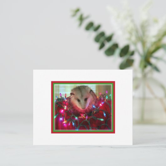 vakantie opossum feestdagenkaart (Staand voorkant)