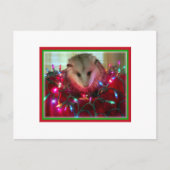 vakantie opossum feestdagenkaart (Voorkant)