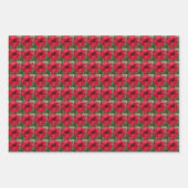 Vakantie Paperwhites en Amaryllis Bloemenpatroon Inpakpapier Vel (Voorkant 3)