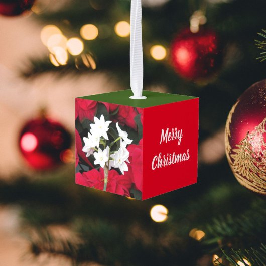 Vakantie Paperwhites en Holly Decoratie