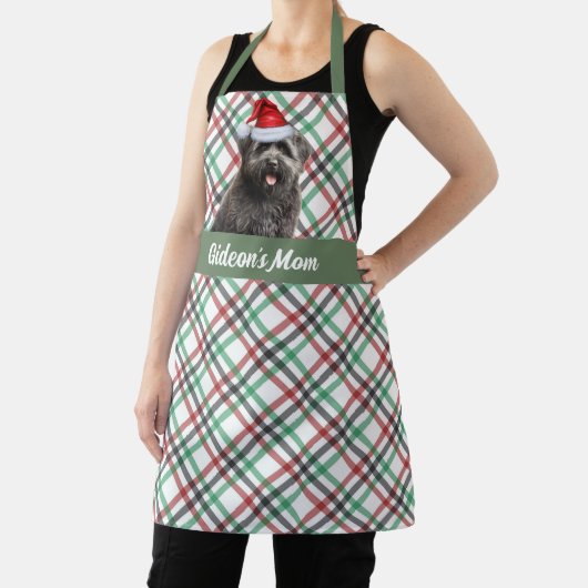 Vakantie Plaid Bouvier de Flandres Hondenkerst Schort (Insitu)