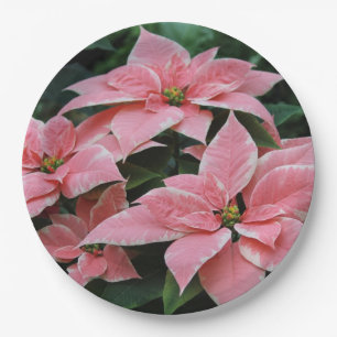Vakantie Poinsettia Papieren Borden Bordje