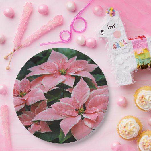 Vakantie Poinsettia Papieren Borden Papieren Bordje (Feest)