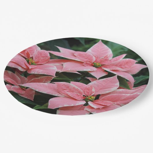 Vakantie Poinsettia Papieren Borden Papieren Bordje (Gekanteld)
