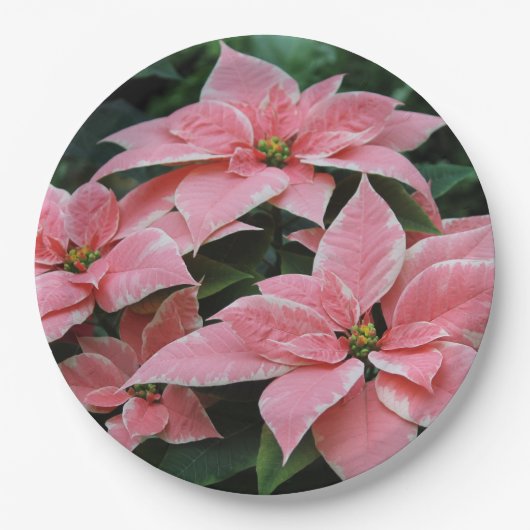 Vakantie Poinsettia Papieren Borden Papieren Bordje (Voorkant)